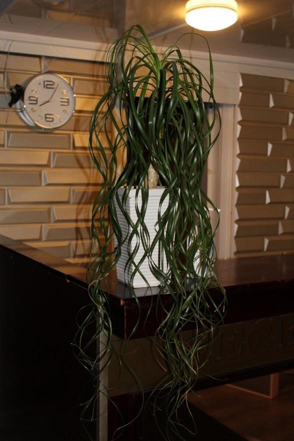 The Grand Karhu Hotel Kotka Ngoại thất bức ảnh